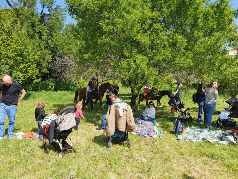 Da Ottobre tornano alla Casa del Parco, i laboratori ludici per i bambini e i picnic per tutti sotto gli ulivi