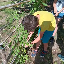 laboratori bambini Casa del Parco 1
