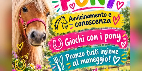 241026 casaletto eq center