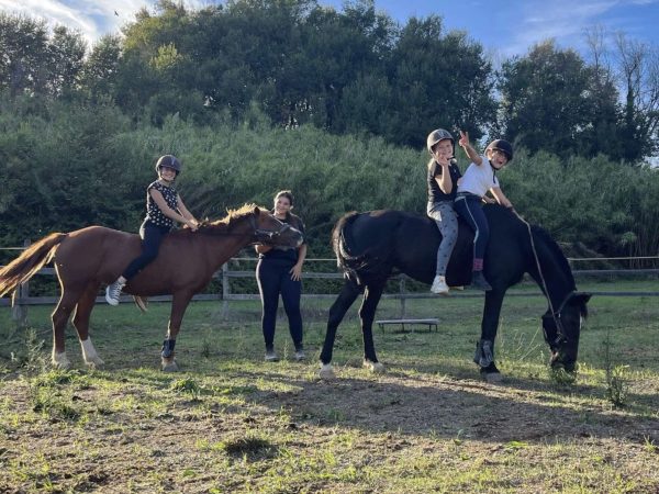 CASALETTO EQUESTRIAN CENTER 2024-02-25 alle 23.24.27