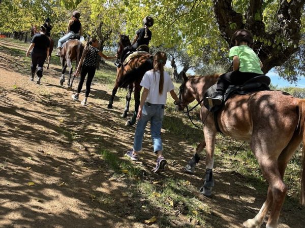 CASALETTO EQUESTRIAN CENTER 2024-02-25 alle 23.25.21