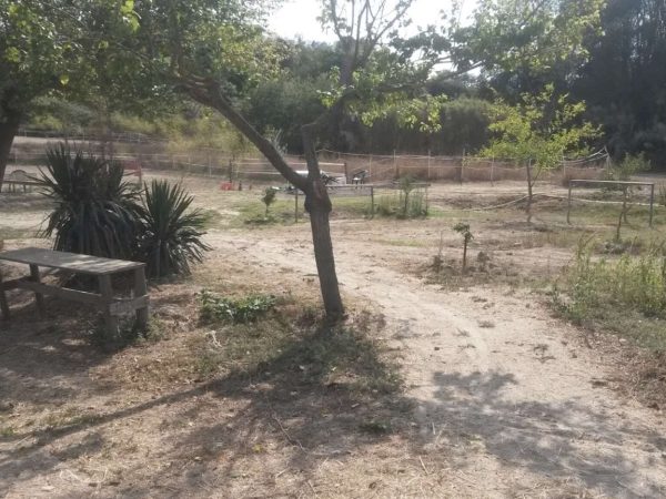 CASALETTO EQUESTRIAN CENTER 2024-02-25 alle 23.25.46