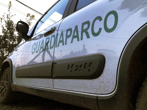 Panda 4x4 dei Guardiaparco della riserva