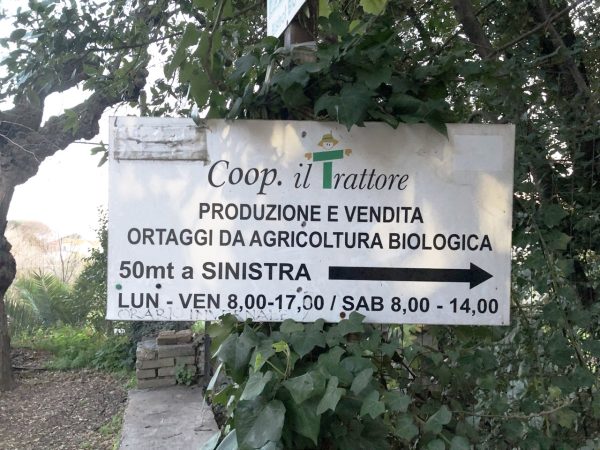Coop il trattore Orari di apertura