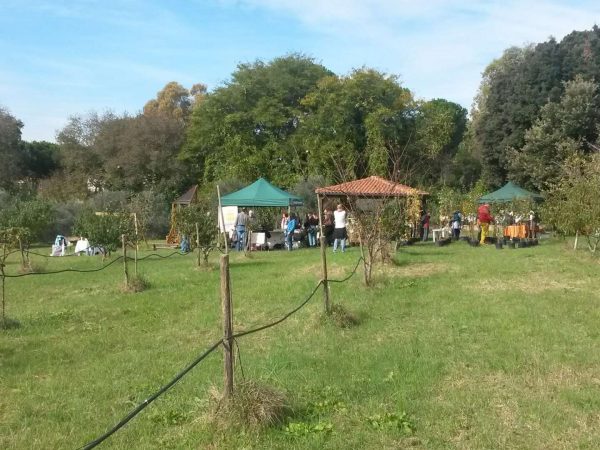 Il giardino dei frutti perduti 26-02-2024 alle 17.09.58 2