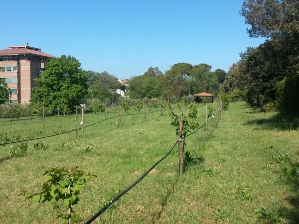 Il giardino dei frutti perduti 26-02-2024 alle 17.09.58 6