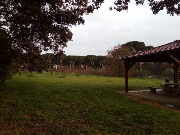 Il giardino dei frutti perduti 26-02-2024 alle 17.09.58 9