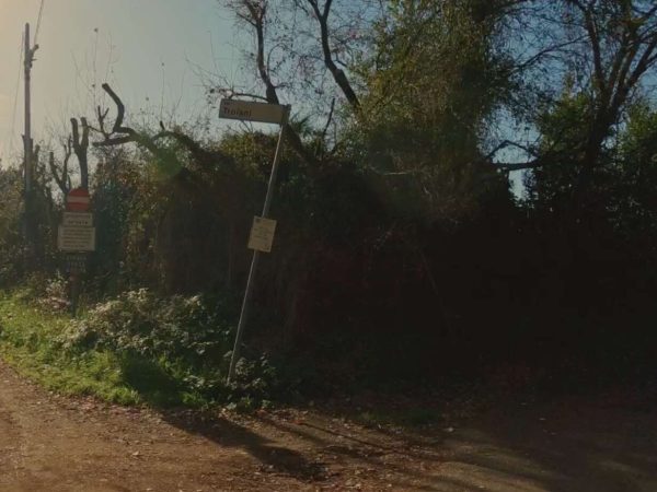 PERCORSI NELLA VALLE DEI CASALI- BIVIO VIA DEI TROIANI