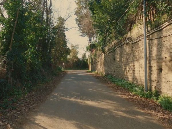 PERCORSI NELLA VALLE DEI CASALI