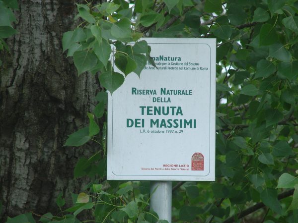 Pannello tenuta dei passimi