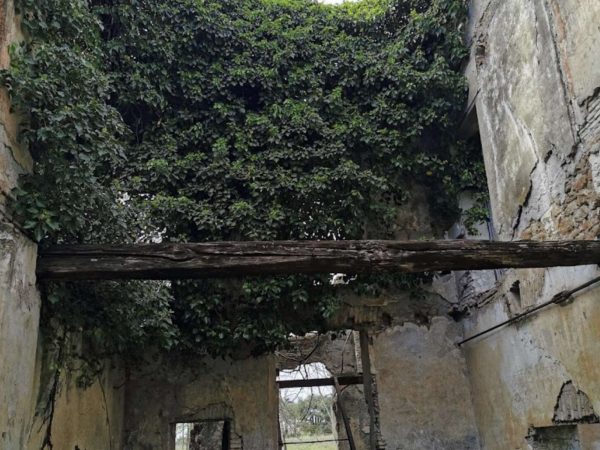 Villa Baccelli Guido Trullo Collina di Montecucco Roma 4