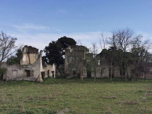 Villa Baccelli Guido Trullo Collina di Montecucco Roma 5