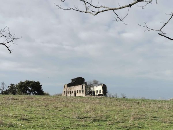 Villa Baccelli Guido Trullo Collina di Montecucco Roma 6