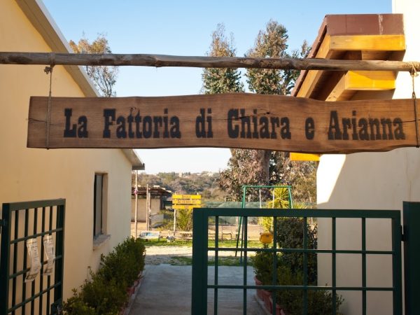 fattoria 2