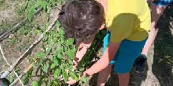 laboratori bambini Casa del Parco 1