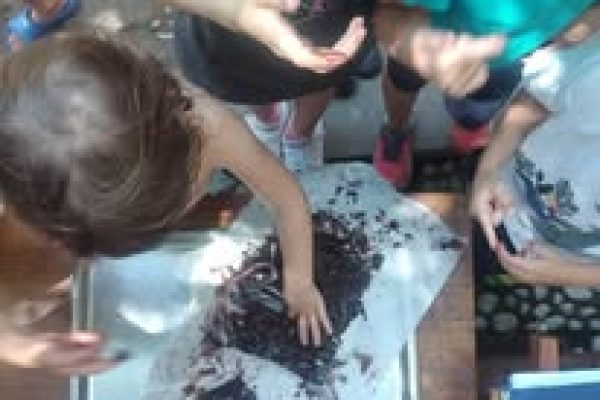 laboratori bambini Casa del Parco 5